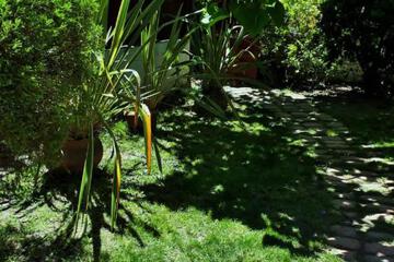 Photo 33