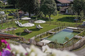 Natural pool