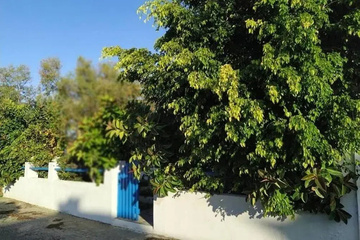 outside