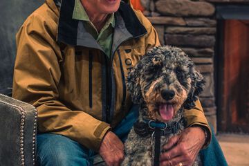 Pet-friendly