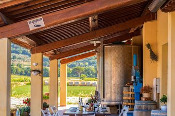 Winery