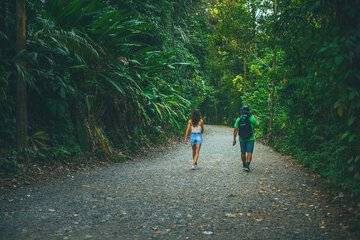 Hiking