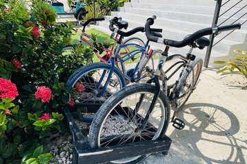 Bicycling