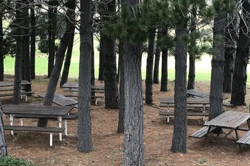 BBQ/picnic area