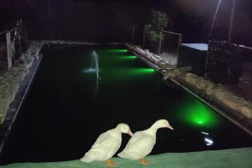 Photo 25