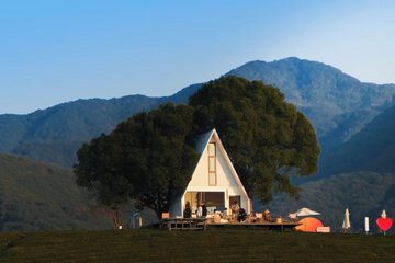 Building design