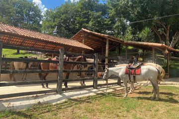 Horseback riding