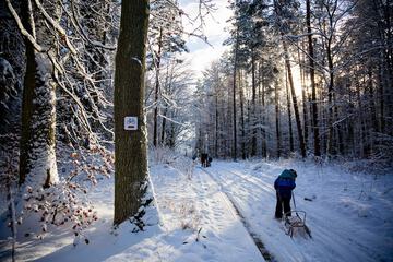 Sledding