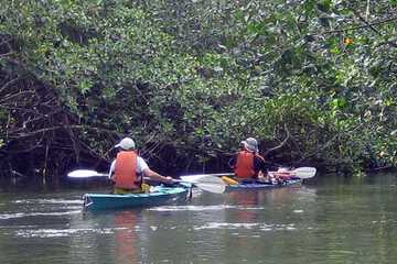 Kayaking