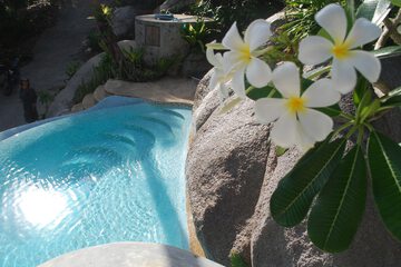 Garden view