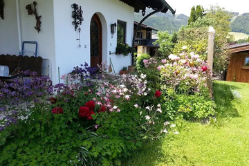 outside
