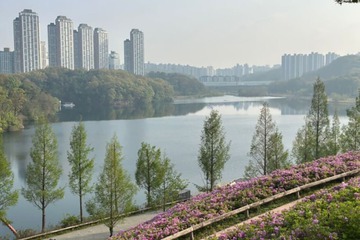 Hiking