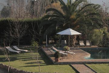 Photo 46