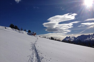 Snowshoeing