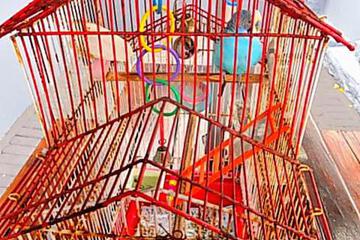 Photo 7