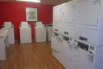 Photo 47