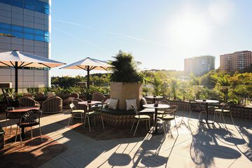 Rooftop terrace