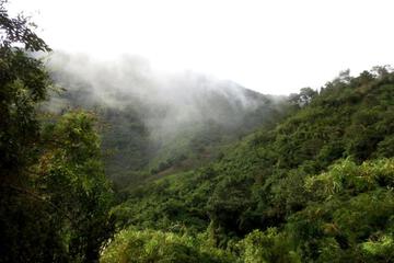 Photo 30