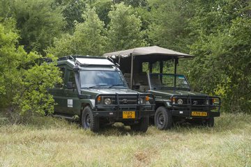 Safari