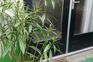 Photo 28