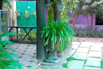 Photo 20