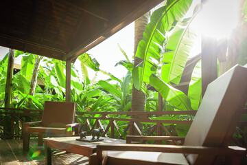 Garden view
