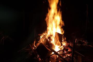 Photo 19
