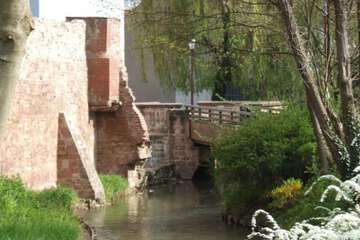 Ecotours