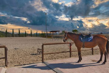 Horseback riding