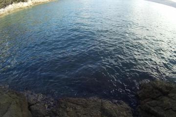 Photo 24