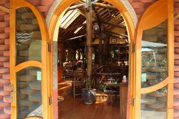 Photo 46