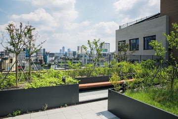Rooftop terrace