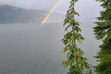 Photo 87
