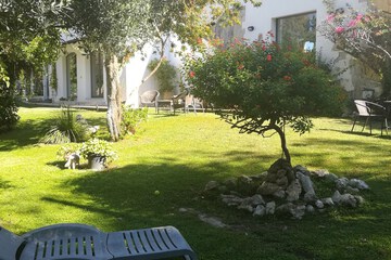 Photo 37