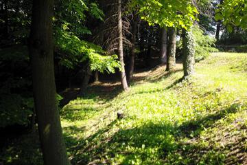 Photo 35