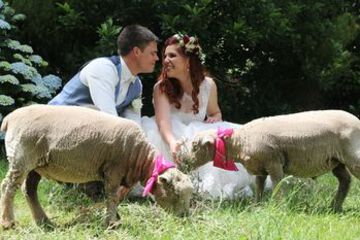 Outdoor Wedding Area