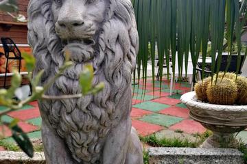 Photo 37