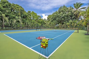 Tennis court