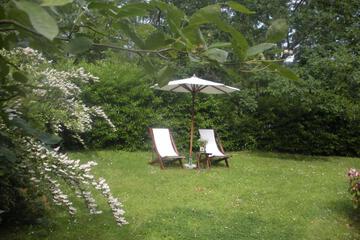Photo 30