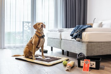 Pet-friendly