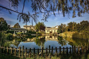 Lake view