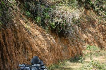 Game drive