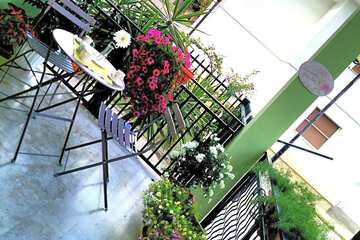 Photo 50