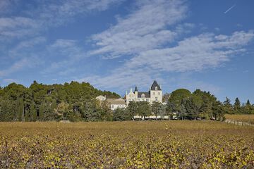 Vineyard