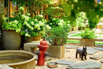 Pet-friendly amenities
