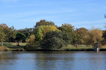 Lake view