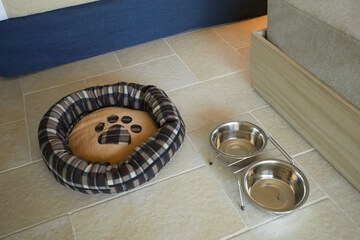 Pet-friendly amenities