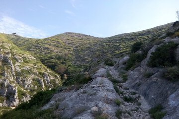Hiking