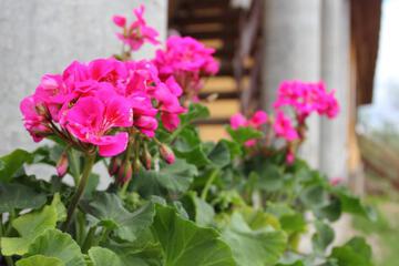 Photo 35