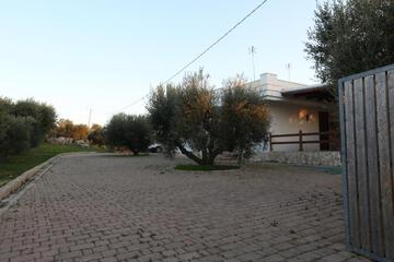 Photo 31
